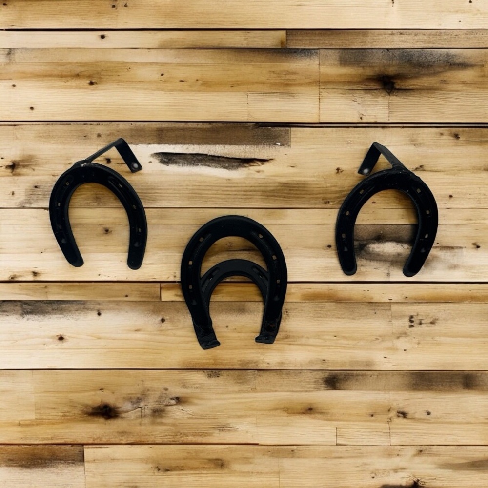 WALL MOUNT HORSESHOE HOOKS & BUSINESS CARD HOLDER SET